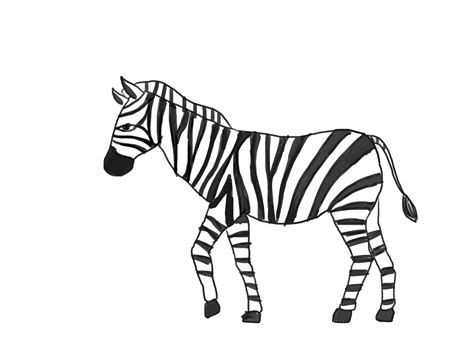 zebra in cartoon|How to Draw a Zebra (with Pictures) .